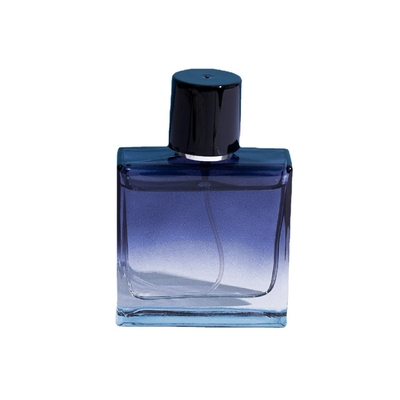 50ml de Fles van het parfumFlessenglas met zamak plastic Magneet GLB, Perstype Nevel, Subfles, Lege Kosmetische Fles