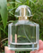 Van het het Parfumglas van het luxe de Buitensporige Ontwerp Fles 100ml met Pompglb Spuitbus