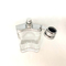 100ml de creatieve het Type van de Flessenpers van het ParfumFlessenglas Schoonheidsmiddelen die van de Nevel Lege Fles Uitrusting verpakken